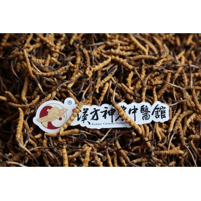 哪些人適合吃冬蟲夏草，這幾類人要注意！