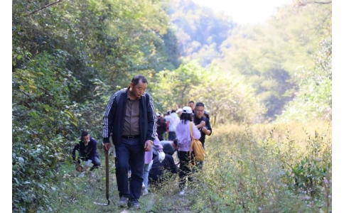 踏秋尋寶，聞香識(shí)藥！首屆神農(nóng)杯野外識(shí)藥大賽在株洲鳳凰山景區(qū)成功舉辦！