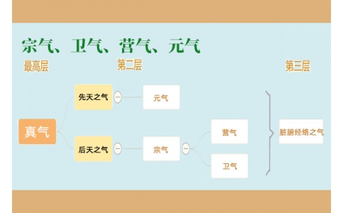 中醫(yī)里的“宗氣”、“衛(wèi)氣”、“營氣”、“元氣”